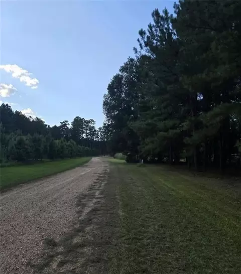 tbd Bennett Rd, Independence, LA 70443 photo 5