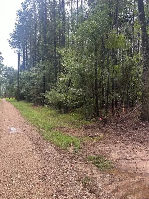 tbd Bennett Rd, Independence, LA 70443 photo 3
