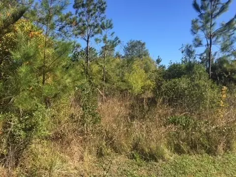 Tba Bonnie Lane, Covington, LA 70433