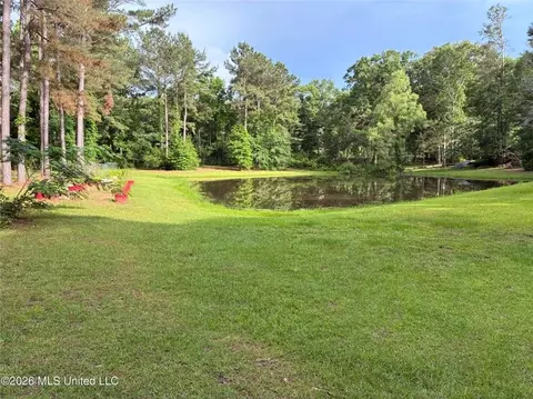 Exterior - 367 44 Hwy, Jayess, MS 39641 photo 8 of 10