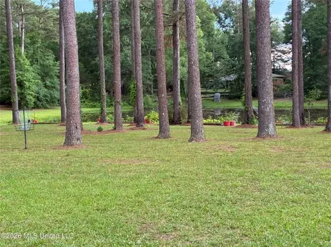 Exterior - 367 44 Hwy, Jayess, MS 39641 photo 6 of 10
