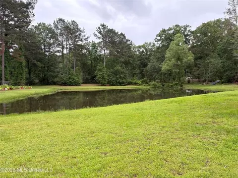 View/Area - 367 44 Hwy, Jayess, MS 39641 photo 1 of 2