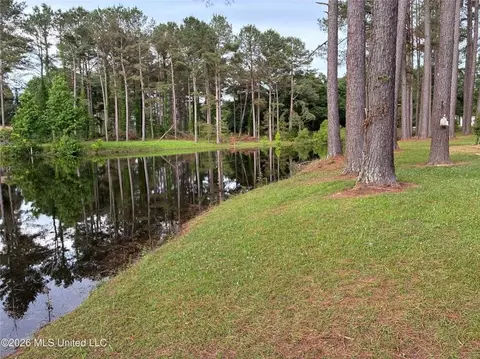View/Area - 367 44 Hwy, Jayess, MS 39641 photo 2 of 2