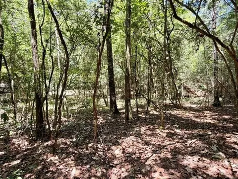 tbd Holly Ln, Covington, LA 70435 photo 8