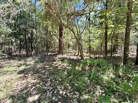 tbd Holly Ln, Covington, LA 70435 photo 6