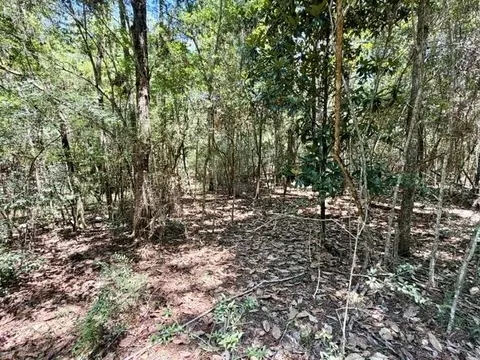 tbd Holly Ln, Covington, LA 70435 photo 7