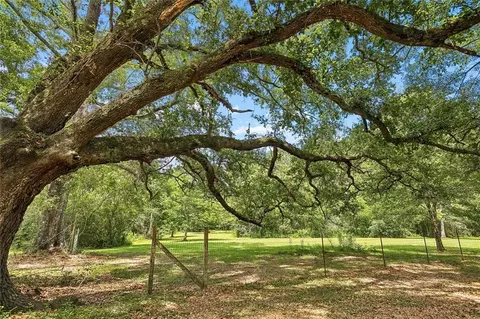 Exterior - 82330 Highway 437 Hwy, Covington, LA 70435 photo 8 of 11