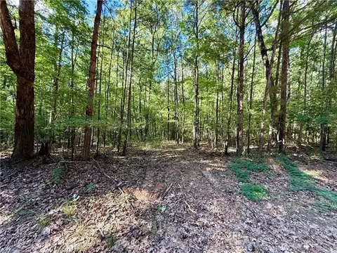 0 Hwy 771 Hwy, Olla, LA 71465 photo 3