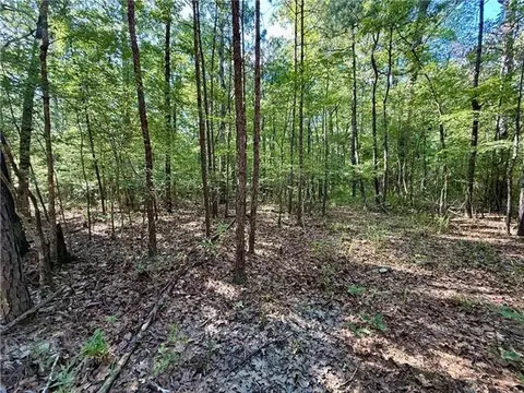 0 Hwy 771 Hwy, Olla, LA 71465 photo 6