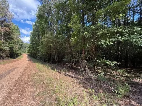 0 Hwy 771 Hwy, Olla, LA 71465 photo 9