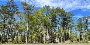 Highway 1088 Highway, Mandeville, LA 70448