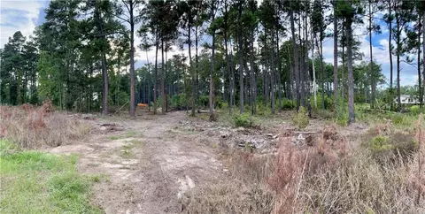28019 Etta Blount Rd, Albany, LA 70711