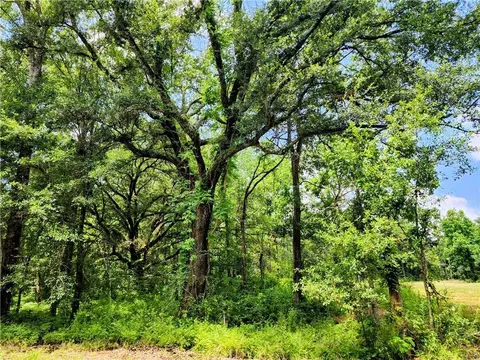 72283 Josephine St, Covington, LA 70433 photo 2