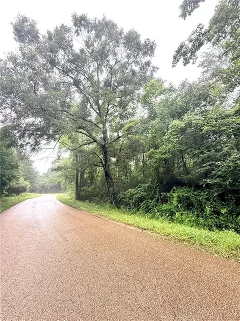 4 297 Acres Pleasant Hill Rd, Mount Hermon, LA 70450