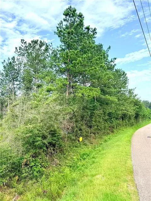 lot1 A 5ac Lee Rd, Franklinton, LA 70438