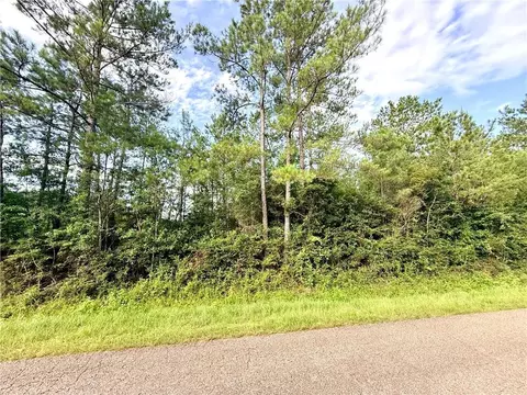 lot1 B 4ac Lee Rd, Franklinton, LA 70438