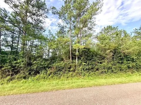 lot1 B 4ac Lee Rd, Franklinton, LA 70438