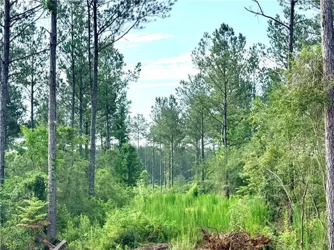 lot2 B 308ac Lee Rd, Franklinton, LA 70438