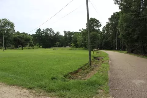 Other - 35075 Starnes Rd, Independence, LA 70443 photo 6 of 6