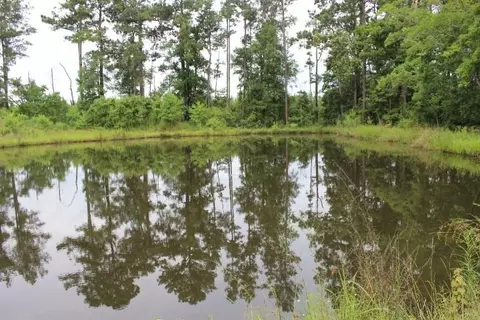 View/Area - 35075 Starnes Rd, Independence, LA 70443 photo 1 of 2