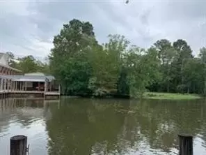 20669 Swamp Drive, Springfield, LA 70462