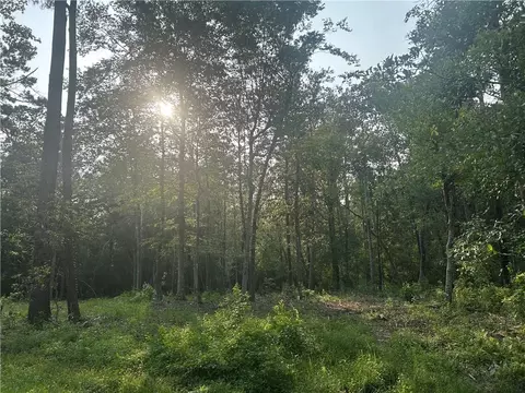 lot S 158 159 Bogue Falaya Dr, Covington, LA 70433