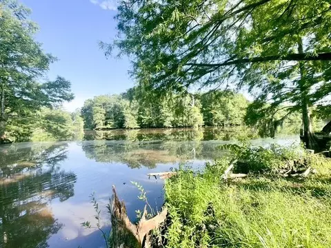 View/Area - 20194 Lacox Ln, Springfield, LA 70462 photo 5 of 5