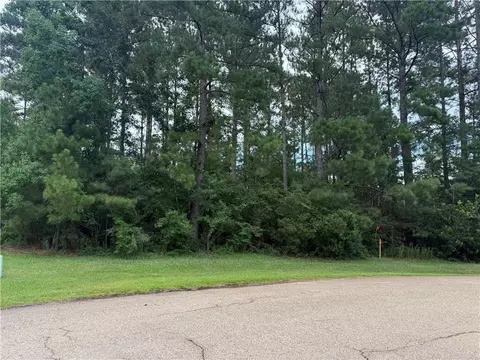 320 Beebalm Cir, Covington, LA 70435 photo 2