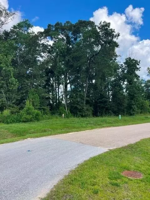 2069 Begue Ln, Covington, LA 70433 photo 4