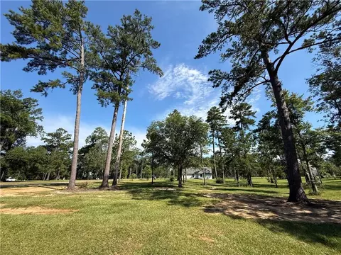 133 Chinawood Dr, Abita Springs, LA 70420
