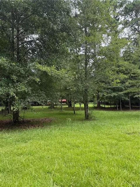 Other - 54237 Addison Rd, Independence, LA 70443 photo 2 of 11