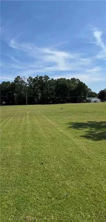 29636 Prokop Rd, Albany, LA 70711