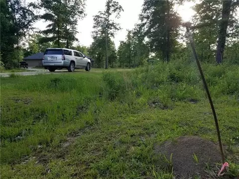 0 Dodd Dr, Deville, LA 71328 photo 5