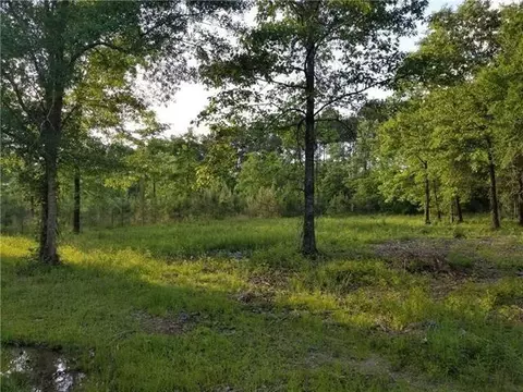 0 Dodd Dr, Deville, LA 71328 photo 3