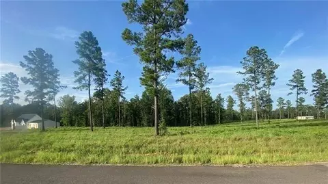 Teekell Lot 5 Road, Boyce, LA 71409 photo 2