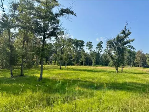 tbd Berry Todd Rd, Lacombe, LA 70445 photo 6