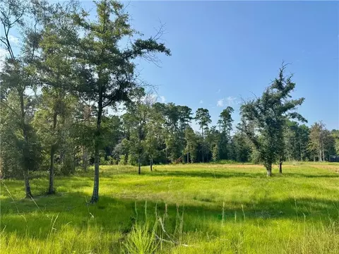 tbd Berry Todd Rd, Lacombe, LA 70445 photo 5