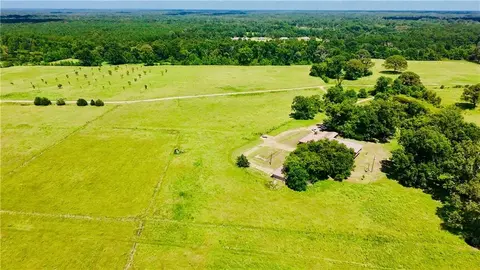 Other - 260 Joiner Loop, Pollock, LA 71467 photo 4 of 27