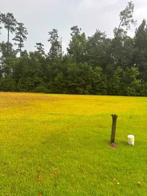 19517 Par Ln, Hammond, LA 70401