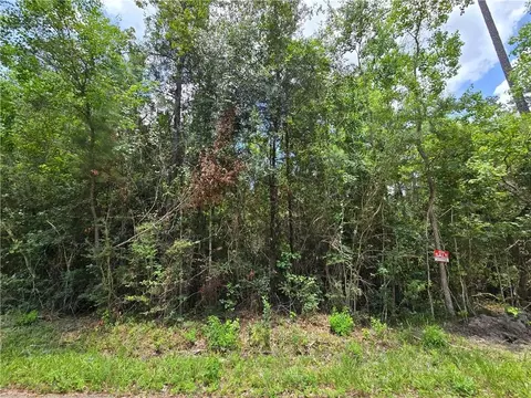 19309 12th Ave, Covington, LA 70433 photo 4