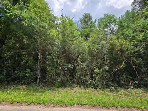 19305 12th Ave, Covington, LA 70433 photo 4