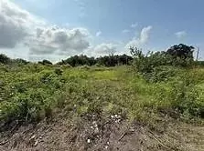 lot L-2 Langston Ln, Port Sulphur, LA 70083