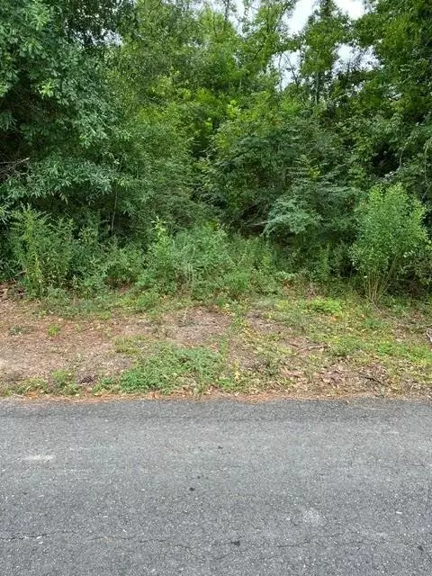 44064 Highway 445 Hwy, Robert, LA 70455 photo 4