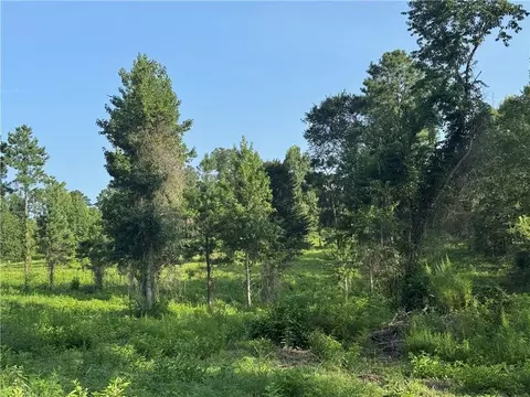 0 Hwy 1200, Boyce, LA 71409 photo 3