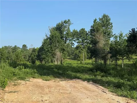 0 Hwy 1200, Boyce, LA 71409 photo 2