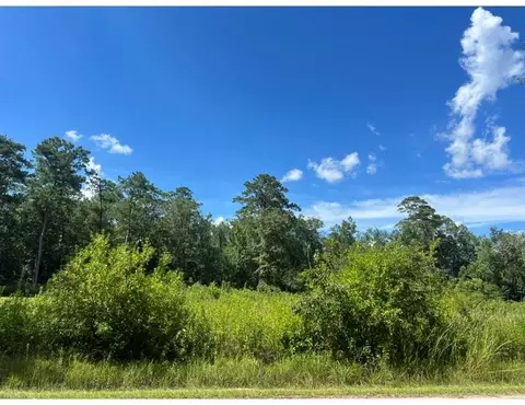 0 Max Mercer Rd, Pearl River, LA 70452