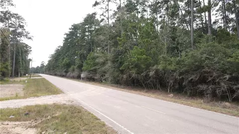 tbd Highway 444 #LOT C-5, Springfield, LA 70462