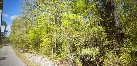tbd Wild St, Springfield, LA 70462 photo 6