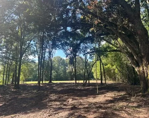 Stepp Road, Robert, LA 70455 photo 5