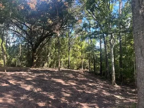 Stepp Road, Robert, LA 70455 photo 4